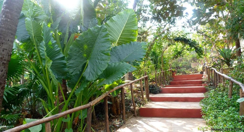 Secret Garden Resort Patnem Beach Esterno foto