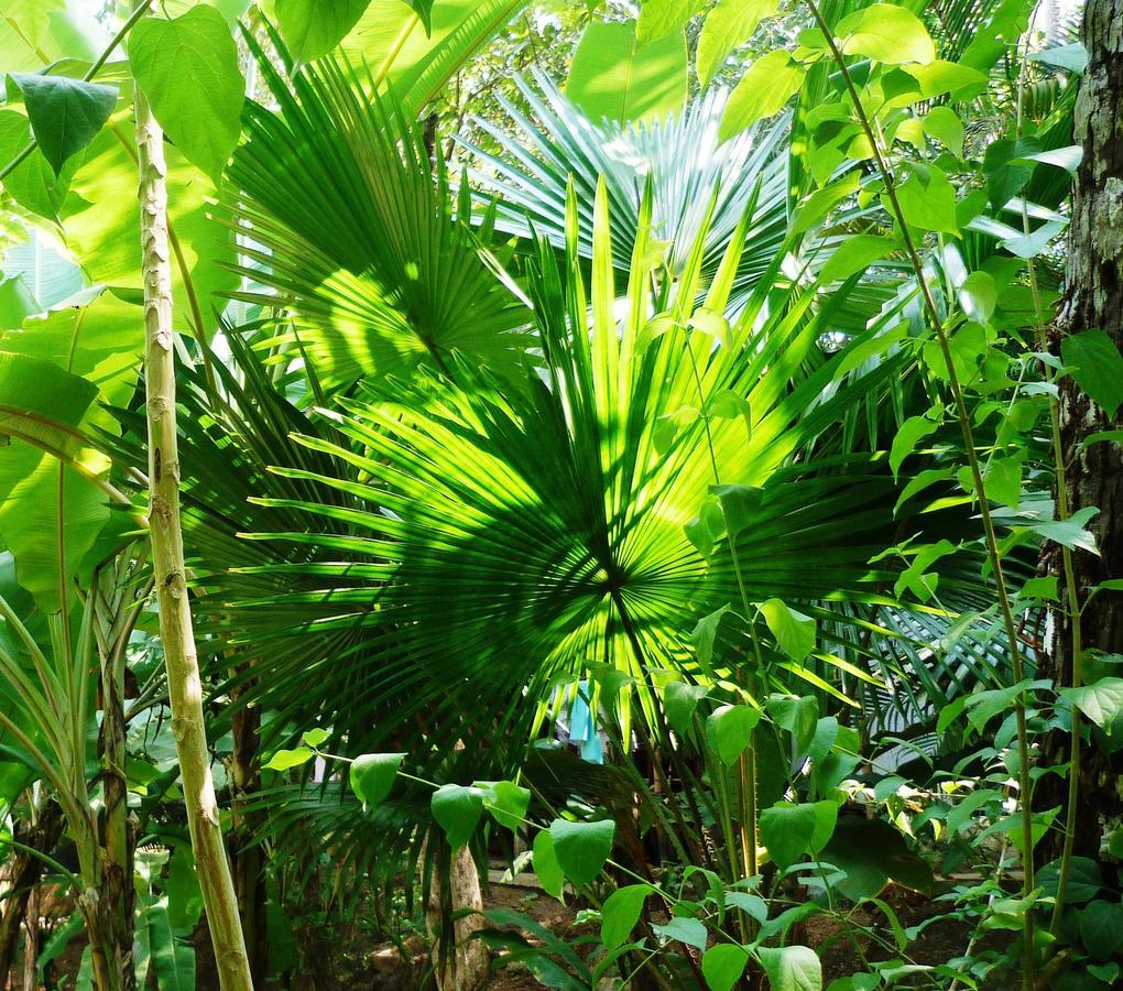 Secret Garden Resort Patnem Beach Esterno foto